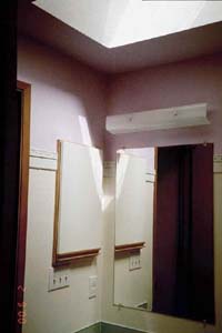 master bath fixtures and skylight