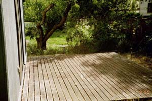 back porch and yard